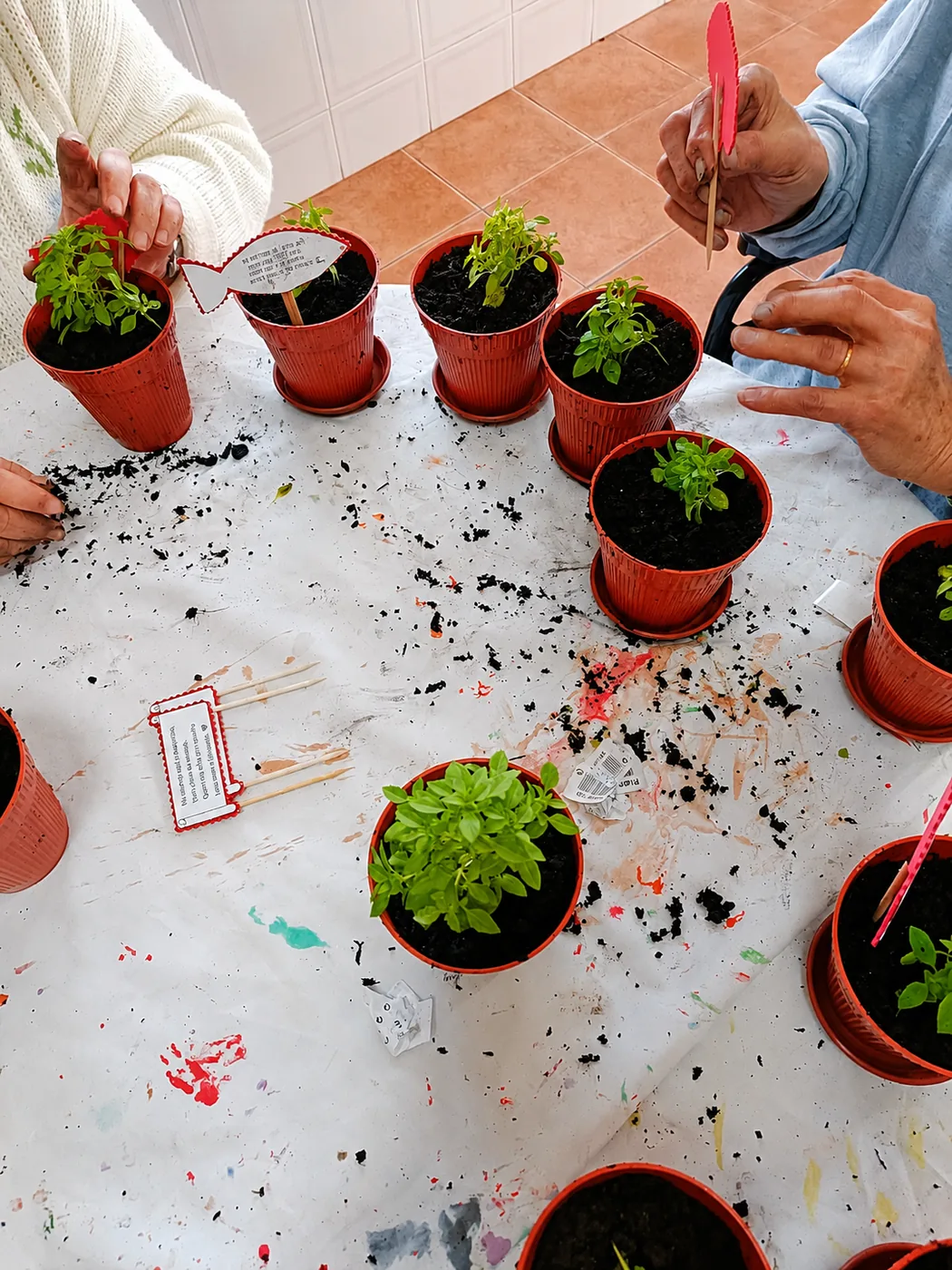 Mãos a realizar uma atividade de jardinagem