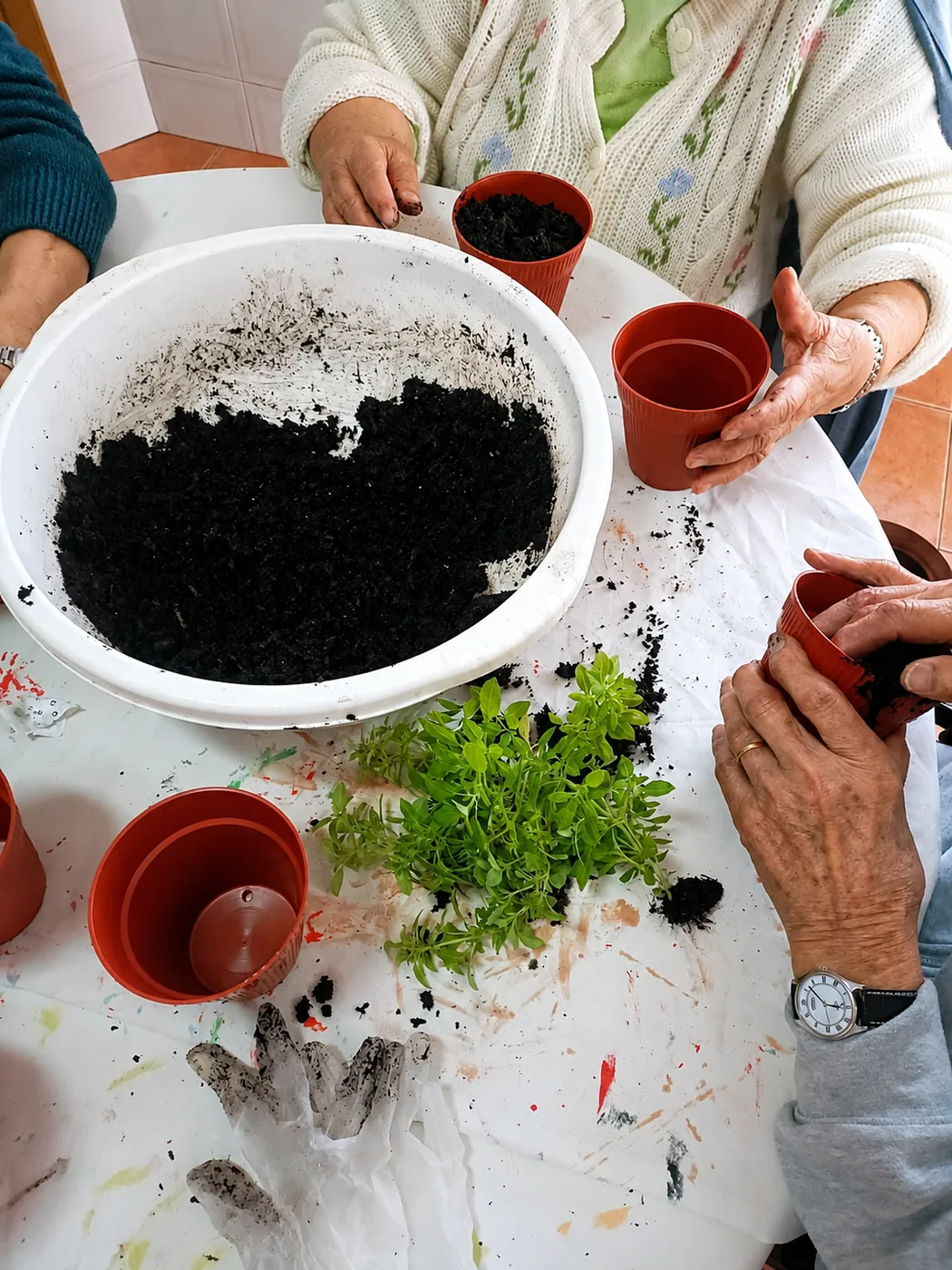 Atividade de jardinagem e plantação